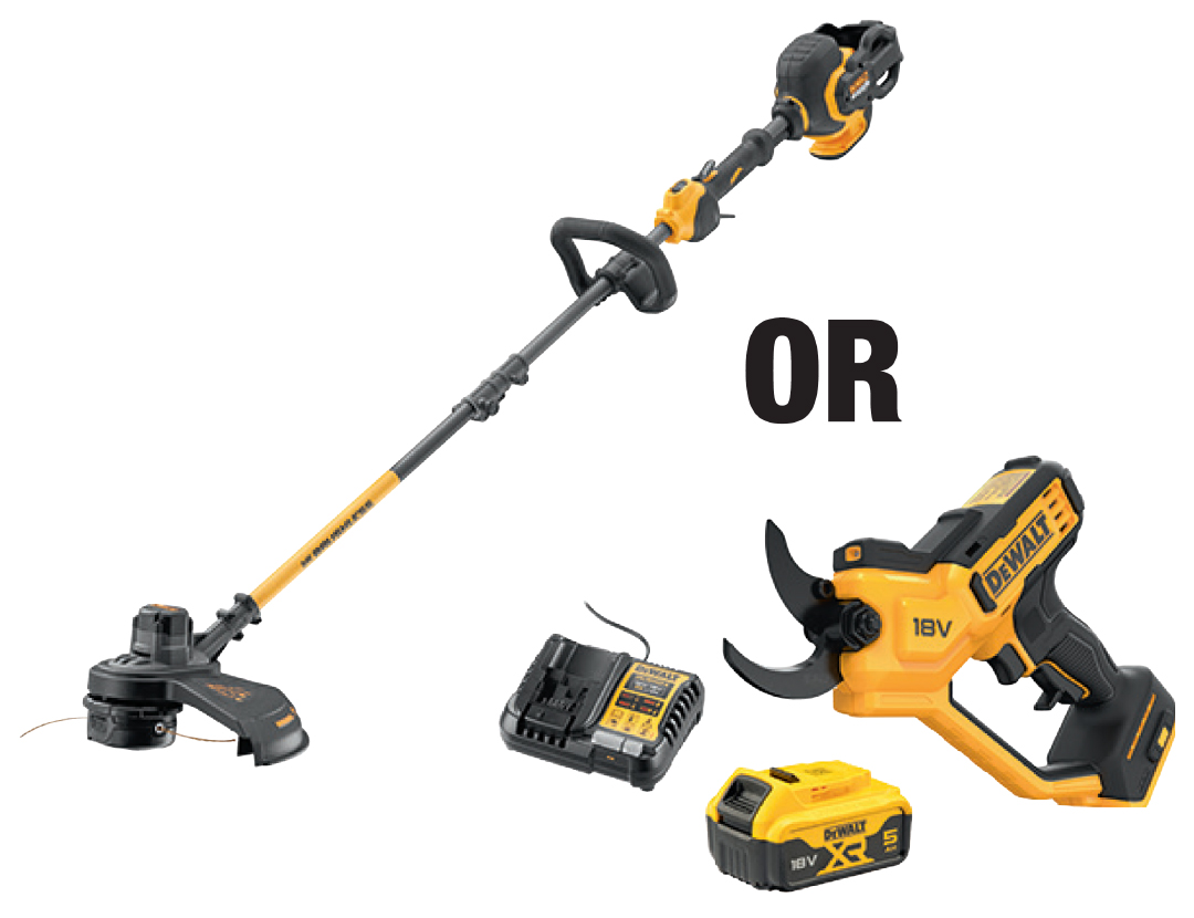 DCM5713N-XE_OR_DCMPP568P1-XE